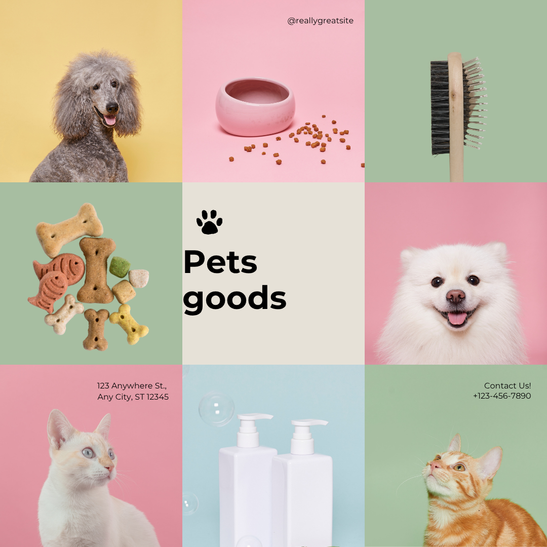Pets Accessories